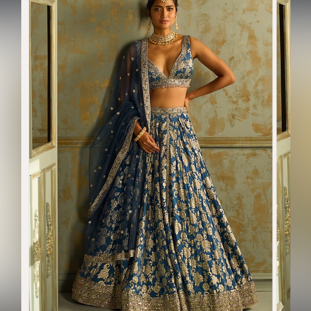 Embroidered Navy Blue Maxi Lehenga with Gold Filigree